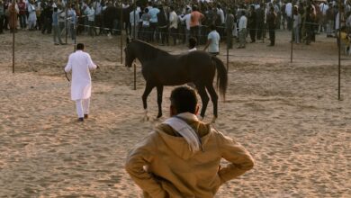 Aresbet Giriş Nasıl Yapılır?